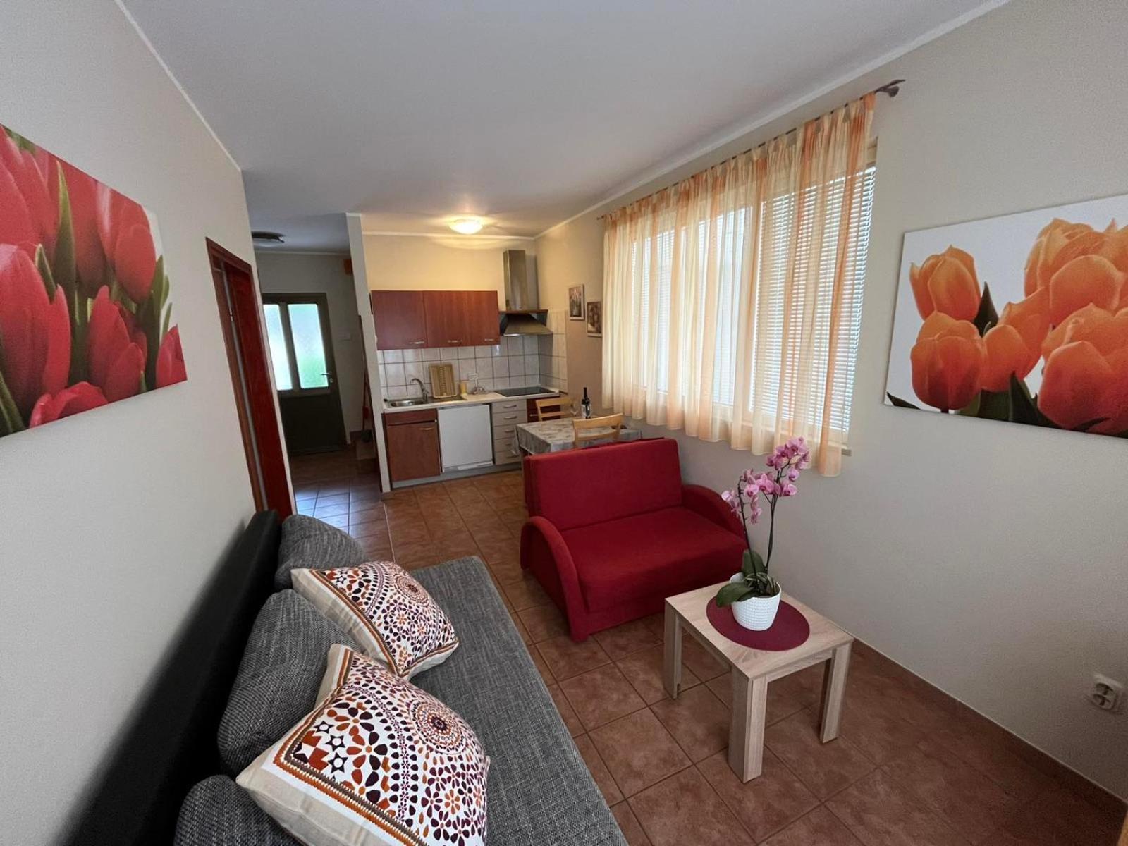 Family Apartments Suzi Rovinj Exterior foto